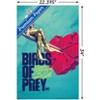 Trends International DC Comics Movie - Birds Of Prey - Heart Unframed Wall Poster Prints - 3 of 4