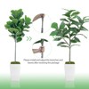 Artificial Tree in Pot with Realistic Leaves & Natural Wood Trunk 5FT/6FT/7FT/8FT - 4 of 4
