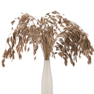 Unique Bargains Dried Grass Chasmanthium Oat Home Decor Flower Bouquet 1 Pc - 1 of 4