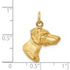 Black Bow Jewelry 14k Yellow Gold Pointer Dog Head Pendant or Charm - 4 of 4