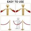 TinyHomie Stainless Steel Posts with Velvet Ropes for Events, Hotels, and Theaters - 3 of 4