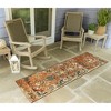 Liora Manne Marina Traditional Indoor/Outdoor Rug.. - 3 of 4