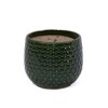 NAYSAYE Planter Set of 3 Ceramic Flowerpot Sleek Glossy Design for Indoor Outdoor Garden, Dark Green, 9.5"*9.5"*8.1" - 4 of 4
