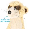 Mimi The Meerkat - 11 Inch Stuffed Animal Plush - By Viahart - 4 of 4
