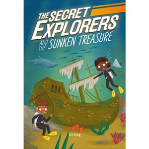 The Secret Explorers and the Sunken Treasure - by SJ King - 1 of 1