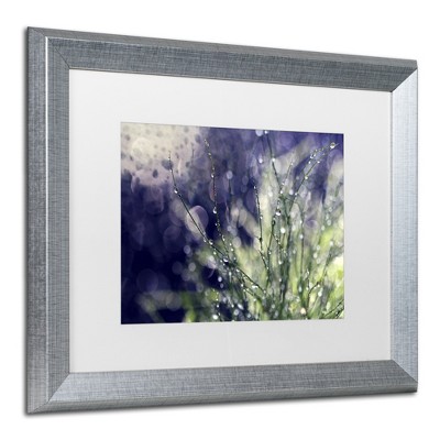 Trademark Fine Art -Beata Czyzowska Young 'Secrets of Nature' Matted Framed Art
