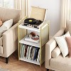 Golden Record Player Stand, Metal Turntable Stand with 3-Tier Storage, Vinyl Bedside End Table for Living Room Bedroom Office - 3 of 4