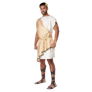 California Costumes Greek God Toga Plus Size Adult Costume - 1 of 4