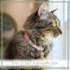 Country Brook Petz® Southern Forest Camo Cat Collar - image 2 of 4