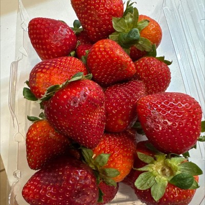 Guest review image 1 of 1, zoom in