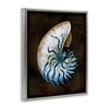Stupell Industries Dark Nautilus Shell, 21" x 17" - 3 of 4