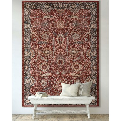 Asha Red 6' x 9' Synthetic Flat-Weave Oriental Rug