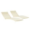 Christopher Knight Home Salem Outdoor Water Resistant Fabric Chaise Lounge Cushions (Set of 2) - 2 of 4