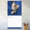 TF Publishing 2025 Wall Calendar 12"x12" Kittens - 3 of 4