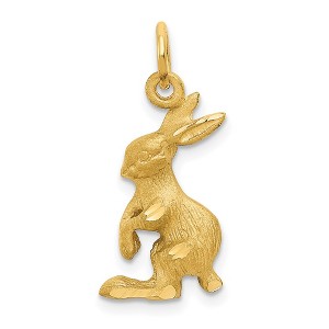 Black Bow Jewelry 14k Yellow Gold Jack Rabbit Charm or Pendant, 10mm - 1 of 4