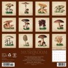 Willow Creek Press 2026 Art of the Mushroom Wall Calendar - 2 of 4