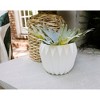 Storied Home Ceramic Fluted Flower Pot - White (7"): Indoor Ceramic Planter, No Drainage, Warp-Proof - 3 of 4