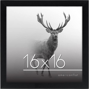 Americanflat 16x16 Poster Frame in Black with Polished Plexiglass - Horizontal and Vertical Formats with Included Hanging Hardware - 1 of 4
