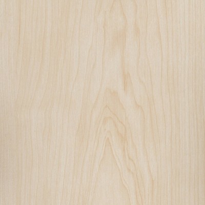 Natural Pine Twin Canopy House Bed Frame