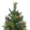 Northlight 3' Pre-Lit Kingston Cashmere Pine Full Artificial Christmas Tree, Multi Lights - 4 of 4