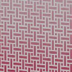 tampa bay buccaneers