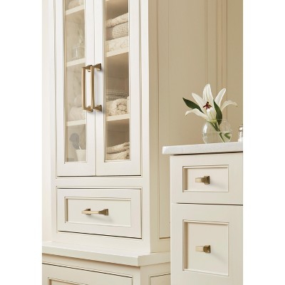 Golden Champagne Traditional Metal Cabinet Pull with Mounting Hardware