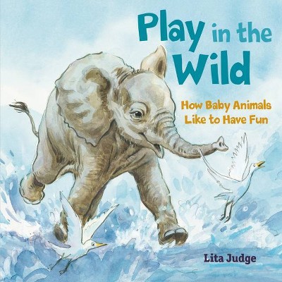 Play in the Wild - (In the Wild) by  Lita Judge (Hardcover)