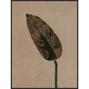 32" x 42" Calathea Brown by Pernille Folcarelli: Amanti Art Hand-Stretched Canvas - 1 of 4