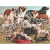 New York Puzzle Company Dog Breeds 1000 Piece Puzzle - 3 of 4