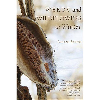 Weeds and Wildflowers in Winter - by  Lauren Brown (Paperback)