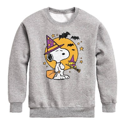Boys' Peanuts Snoopy Woodstock Witchcraft Fleece Sweatshirt - Heather Gray S