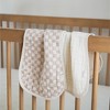 Itzy Ritzy Itzy Cotton Burp Cloths - 2ct - 2 of 4