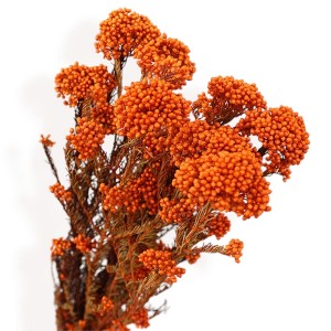 Alilang Decorative Dried Berry Stems for Home Decoration and Floral Arrangements, 17 Inches - 1 of 4