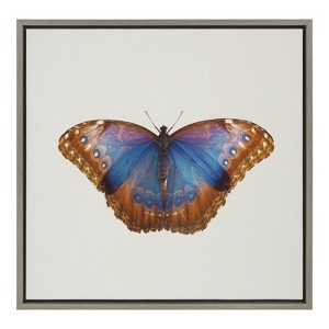 Kate and Laurel Sylvie Coppertop Butterfly Framed Canvas by Robert Cadloff of Bomobob, 22x22, Gray - 1 of 4