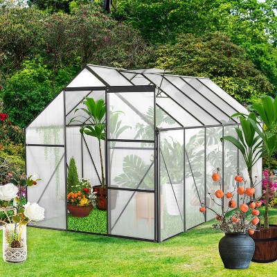 NicBex 6x12 FT Polycarbonate Greenhouse with Raised Base and Anchor Aluminum Heavy Duty Walk-in Greenhouses for Outdoor Backyard in All Season, Black