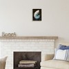 Stupell Industries Dark Nautilus Shell, 11" x 14" - 2 of 4