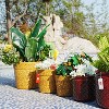 KTMBDW Plant Pots, Ceramic Planters with Drainage Holes, Flower Pots,Nursery Planting Pot for Indoor Out Door Plants - 2 of 4