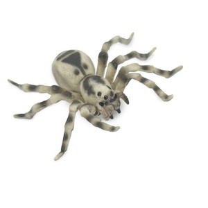 Collectible Wildlife Gifts | Spider, Wolf, Arachnids, Museum Quality, Hand Painted, Rubber Insect, Model,  Toy, Gift,   3 1/2"   CH530 BB158 - 1 of 4