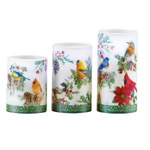 Collections Etc LED Lighted Realistic Winter Birds 3-Piece Candle Set 3 X 3 X 6 - 1 of 2