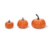 Pumpkin Decor Filler - Bullseye's Playground™ - 3 of 3