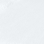 minky fleece: white