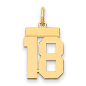 Black Bow Jewelry 14k Yellow Gold, Athletic Collection, Small Polished Number 18 Pendant - 1 of 4