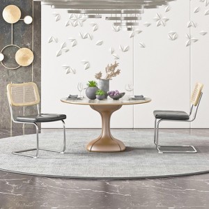 Set of 4/Set of 2 Accent Dining Chair, Rattan Chair for Dining room, Living room-ModernLuxe - 1 of 4
