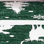 green 4*6