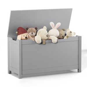FONTOI Kids Toy Box Storage with Safety Hinged Lid, Toy Organizer for Kids, Children, Gray, 13"*16.7"*31.5" - 1 of 4