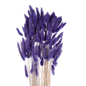 Unique Bargains Decorative Natural Dried Floral Bunny Tail Artificial Plants 120 Pcs - 1 of 4