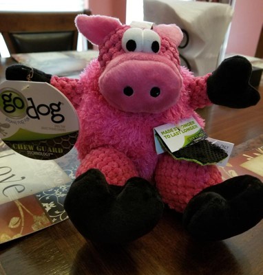 Guest review image 1 of 1, zoom in