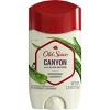 Old Spice Men's Antiperspirant & Deodorant Canyon with Aloe, 2.26oz - 4 of 4