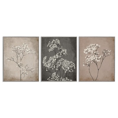 Stupell Industries Botanical Baby's Breath Herbs, 16" x 20"