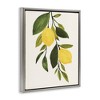 Stupell Industries Simple Yellow Country Lemon Leaf, 17" x 21" - 3 of 4